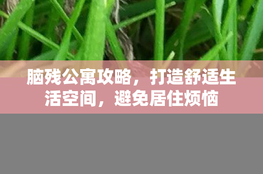 脑残公寓攻略，打造舒适生活空间，避免居住烦恼