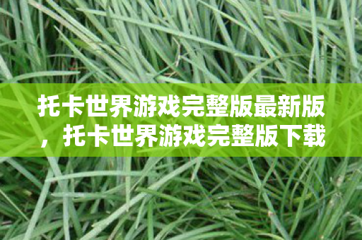 托卡世界游戏完整版最新版,托卡世界游戏完整版下载2022 托卡世界游戏完整版最新版,托卡世界游戏完整版下载2022