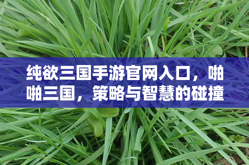 纯欲三国手游官网入口,啪啪三国,策略与智慧的碰撞 纯欲三国手游官网入口,啪啪三国,策略与智慧的碰撞