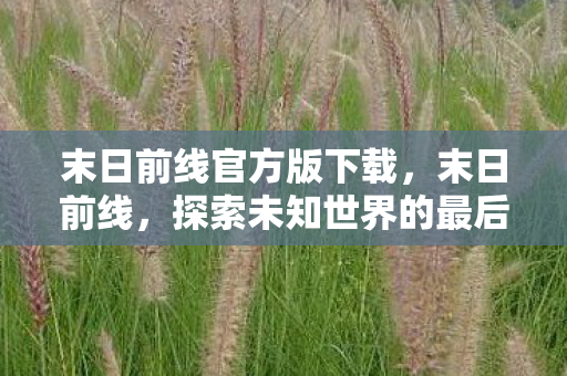 末日前线官方版下载，末日前线，探索未知世界的最后防线