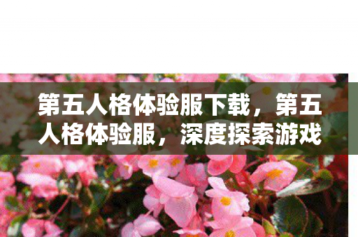 第五人格体验服下载,第五人格体验服,深度探索游戏前沿,尽享创新乐趣 第五人格体验服下载,第五人格体验服,深度探索游戏前沿,尽享创新乐趣