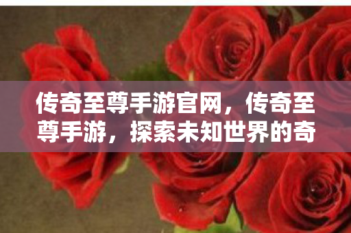 传奇至尊手游官网,传奇至尊手游,探索未知世界的奇幻之旅 传奇至尊手游官网,传奇至尊手游,探索未知世界的奇幻之旅