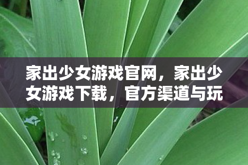 家出少女游戏官网,家出少女游戏下载,官方渠道与玩法解析 家出少女游戏官网,家出少女游戏下载,官方渠道与玩法解析