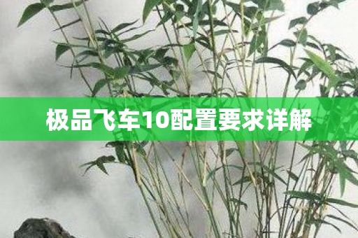 极品飞车10配置要求详解 极品飞车10配置要求详解