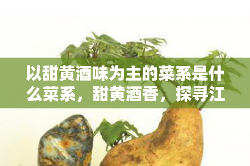 以甜黄酒味为主的菜系是什么菜系,甜黄酒香,探寻江南菜系的独特韵味 以甜黄酒味为主的菜系是什么菜系,甜黄酒香,探寻江南菜系的独特韵味