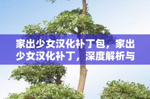 家出少女汉化补丁包,家出少女汉化补丁,深度解析与体验分享 家出少女汉化补丁包,家出少女汉化补丁,深度解析与体验分享