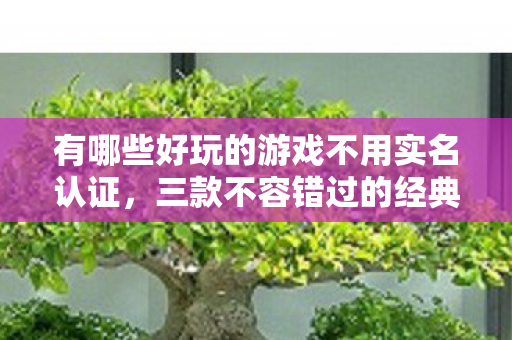 有哪些好玩的游戏不用实名认证，三款不容错过的经典游戏推荐