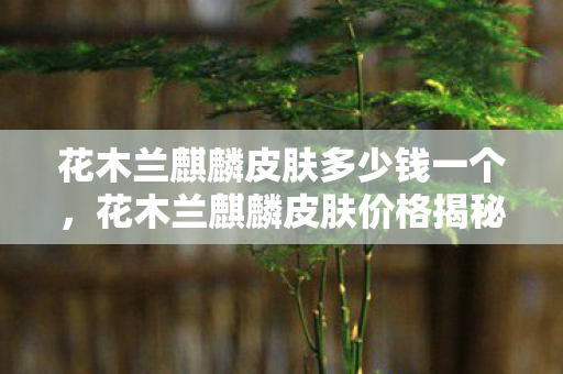 花木兰麒麟皮肤多少钱一个,花木兰麒麟皮肤价格揭秘,美丽与荣耀的完美结合 花木兰麒麟皮肤多少钱一个,花木兰麒麟皮肤价格揭秘,美丽与荣耀的完美结合