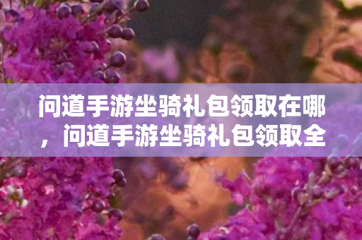问道手游坐骑礼包领取在哪，问道手游坐骑礼包领取全攻略