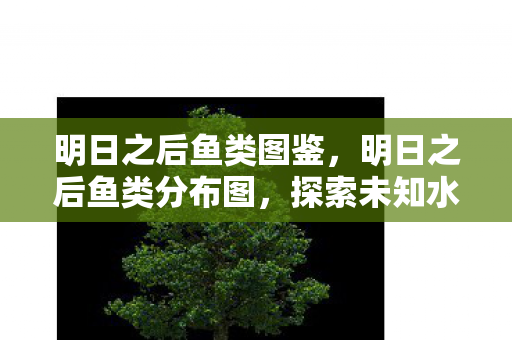 明日之后鱼类图鉴,明日之后鱼类分布图,探索未知水域,解锁丰富鱼种 明日之后鱼类图鉴,明日之后鱼类分布图,探索未知水域,解锁丰富鱼种