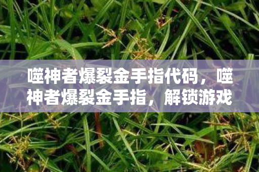 噬神者爆裂金手指代码,噬神者爆裂金手指,解锁游戏新境界的秘宝 噬神者爆裂金手指代码,噬神者爆裂金手指,解锁游戏新境界的秘宝