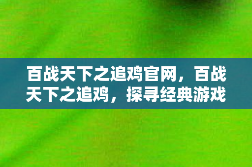 百战天下之追鸡官网，百战天下之追鸡，探寻经典游戏的传承与变迁