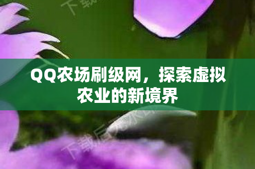 QQ农场刷级网，探索虚拟农业的新境界