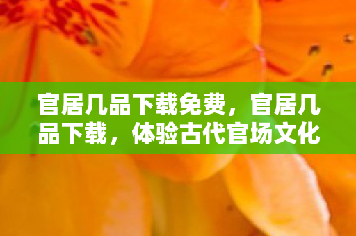 官居几品下载免费,官居几品下载,体验古代官场文化的数字之旅 官居几品下载免费,官居几品下载,体验古代官场文化的数字之旅