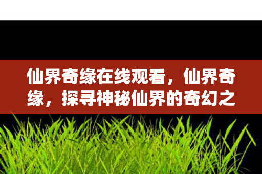 仙界奇缘在线观看，仙界奇缘，探寻神秘仙界的奇幻之旅