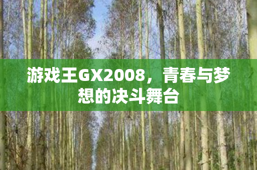 游戏王GX2008，青春与梦想的决斗舞台