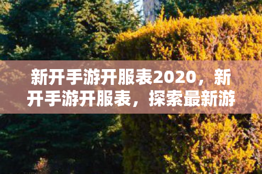 新开手游开服表2020，新开手游开服表，探索最新游戏世界，开启无限可能