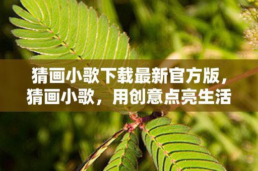 猜画小歌下载最新官方版,猜画小歌,用创意点亮生活的趣味应用 猜画小歌下载最新官方版,猜画小歌,用创意点亮生活的趣味应用