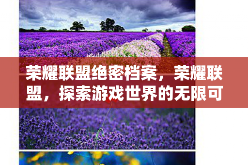 荣耀联盟绝密档案，荣耀联盟，探索游戏世界的无限可能