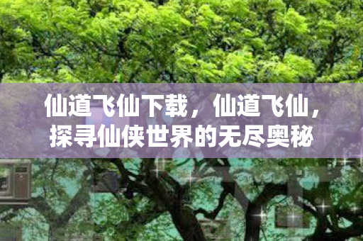 仙道飞仙下载，仙道飞仙，探寻仙侠世界的无尽奥秘