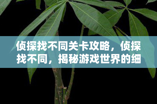 侦探找不同关卡攻略，侦探找不同，揭秘游戏世界的细微差异