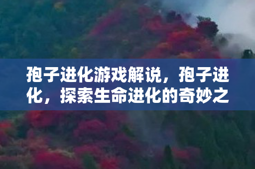 孢子进化游戏解说,孢子进化,探索生命进化的奇妙之旅 孢子进化游戏解说,孢子进化,探索生命进化的奇妙之旅