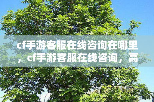 cf手游客服在线咨询在哪里,cf手游客服在线咨询,高效解决你的游戏问题 cf手游客服在线咨询在哪里,cf手游客服在线咨询,高效解决你的游戏问题