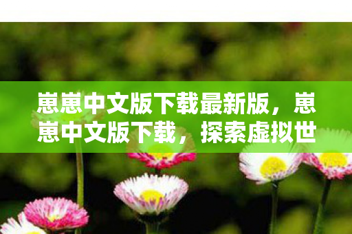 崽崽中文版下载最新版，崽崽中文版下载，探索虚拟世界的无限可能