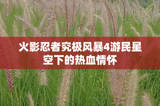 火影忍者究极风暴4游民星空下的热血情怀