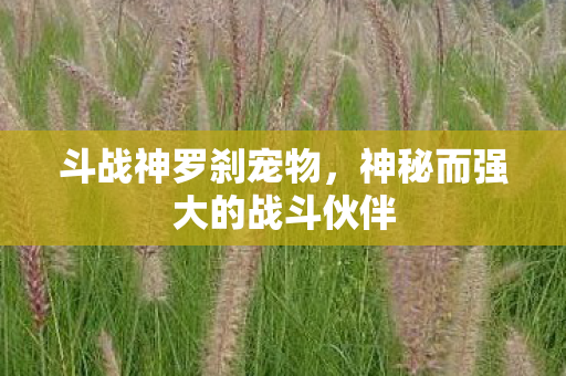 斗战神罗刹宠物，神秘而强大的战斗伙伴