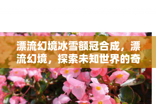 漂流幻境冰雪额冠合成，漂流幻境，探索未知世界的奇幻之旅