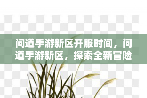 问道手游新区开服时间，问道手游新区，探索全新冒险，体验极致乐趣