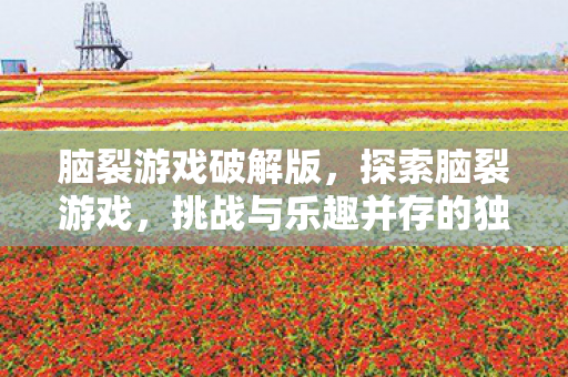 脑裂游戏破解版，探索脑裂游戏，挑战与乐趣并存的独特体验