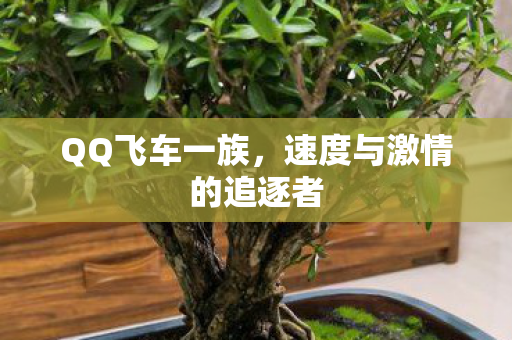 QQ飞车一族，速度与激情的追逐者