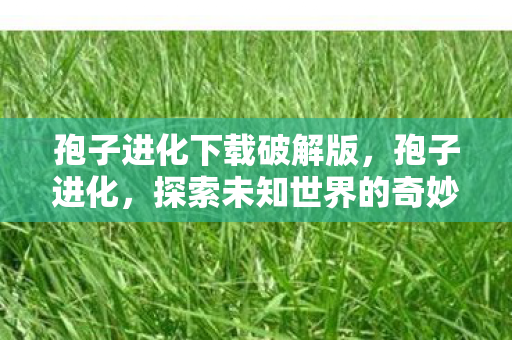 孢子进化下载破解版，孢子进化，探索未知世界的奇妙之旅