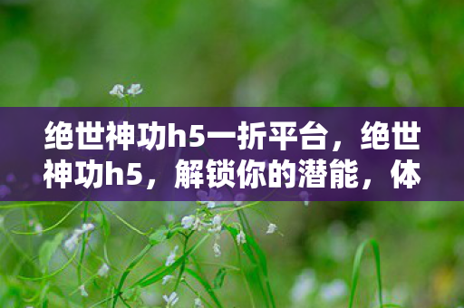 绝世神功h5一折平台，绝世神功h5，解锁你的潜能，体验极致战斗快感