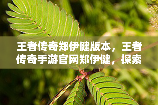 王者传奇郑伊健版本，王者传奇手游官网郑伊健，探索传奇世界的无限可能