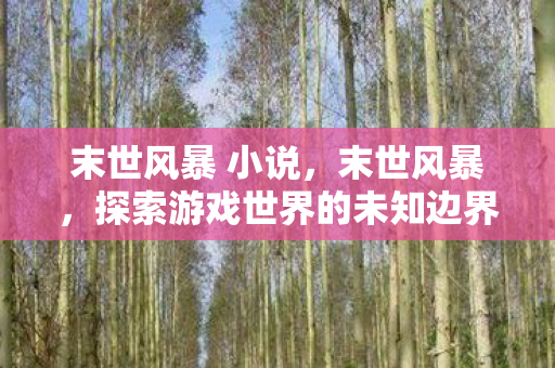 末世风暴 小说，末世风暴，探索游戏世界的未知边界