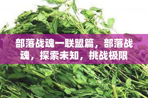 部落战魂一联盟篇,部落战魂,探索未知,挑战极限 部落战魂一联盟篇,部落战魂,探索未知,挑战极限