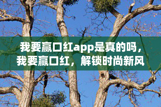 我要赢口红app是真的吗,我要赢口红,解锁时尚新风尚,口红界的王者争霸赛 我要赢口红app是真的吗,我要赢口红,解锁时尚新风尚,口红界的王者争霸赛