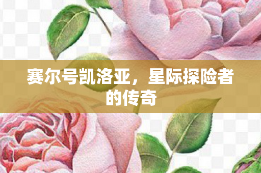 赛尔号凯洛亚，星际探险者的传奇