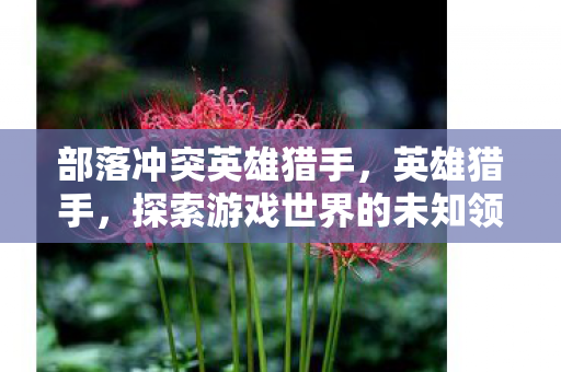 部落冲突英雄猎手,英雄猎手,探索游戏世界的未知领域 部落冲突英雄猎手,英雄猎手,探索游戏世界的未知领域