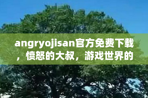 angryojisan官方免费下载，愤怒的大叔，游戏世界的守护者还是破坏者？