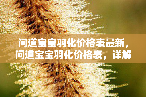 问道宝宝羽化价格表最新，问道宝宝羽化价格表，详解羽化成本与性价比