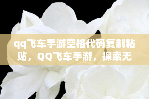 qq飞车手游空格代码复制粘贴，QQ飞车手游，探索无限可能的竞速世界