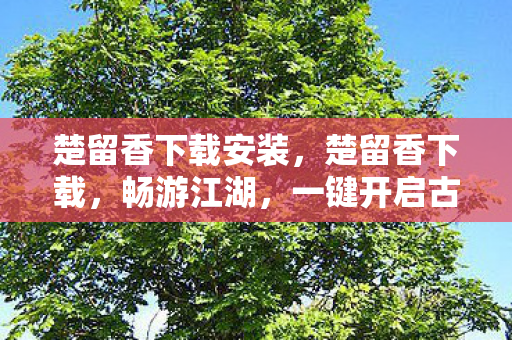 楚留香下载安装，楚留香下载，畅游江湖，一键开启古风之旅