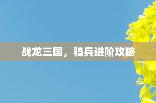 战龙三国，骑兵进阶攻略