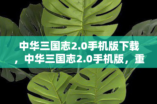 中华三国志2.0手机版下载,中华三国志2.0手机版,重塑经典,掌中三国 中华三国志2.0手机版下载,中华三国志2.0手机版,重塑经典,掌中三国