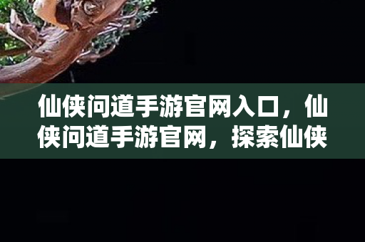 仙侠问道手游官网入口，仙侠问道手游官网，探索仙侠世界的奇妙之旅