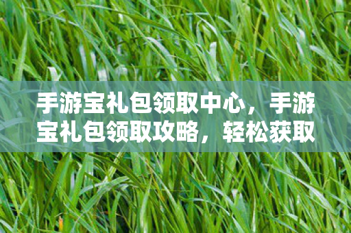 手游宝礼包领取中心,手游宝礼包领取攻略,轻松获取丰厚游戏福利 手游宝礼包领取中心,手游宝礼包领取攻略,轻松获取丰厚游戏福利